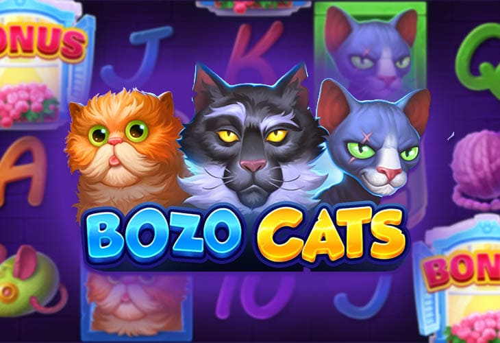 Bozo Cats Bozo Cats